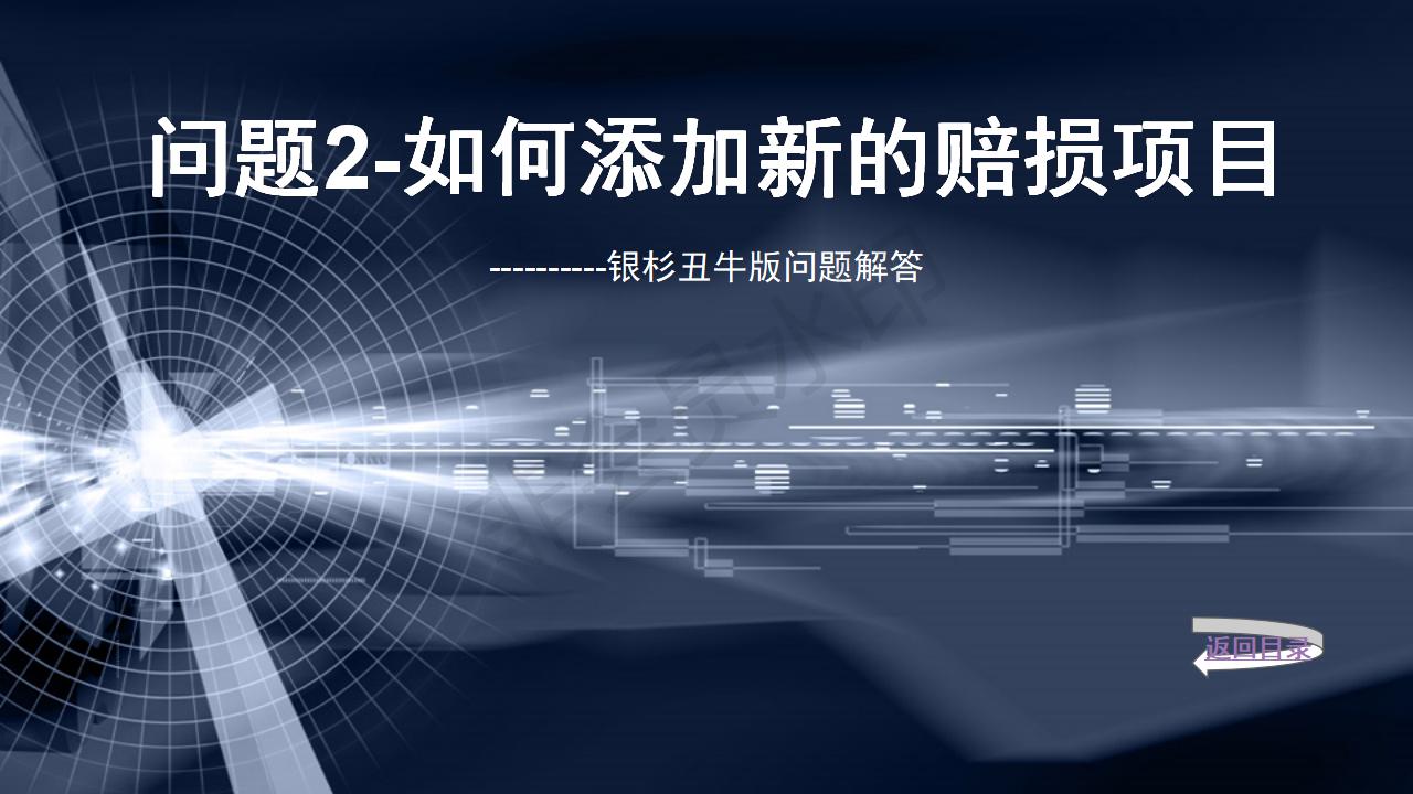 问题2--如何添加新的赔损项目